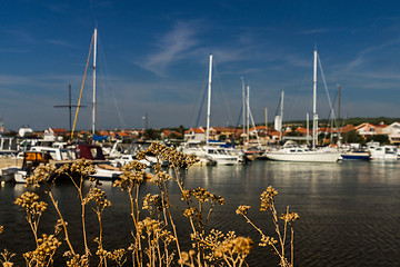 Image showing Turanj, Dalmatia, Croatia