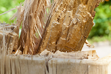 Image showing weathered wood broken