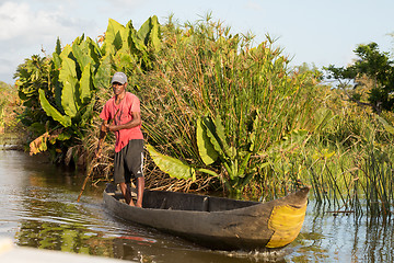 Image showing Life in madagascar countryside on river