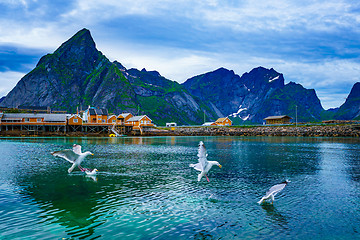 Image showing Lofoten archipelago