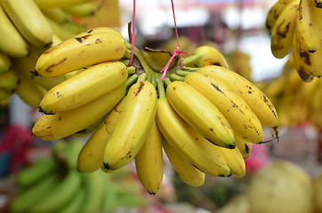 Image showing Bananas hanging for sale