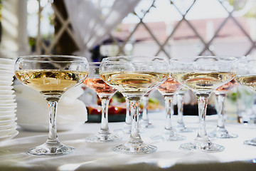 Image showing Row of glasses filled with champagne are lined up ready to be served.