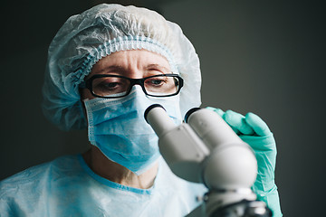 Image showing Scientist working in laboratory with microscope