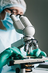 Image showing Scientist working in laboratory with microscope