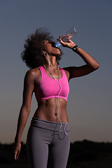 Image showing african american woman drinking water after jogging in nature