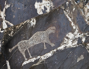 Image showing Petroglyph in Sarmishsay, Uzbekistan