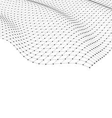 Image showing Wireframe Area Mesh Polygonal Surface