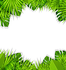 Image showing Summer Fresh Background with Tropical Leaves