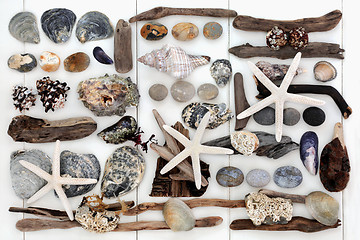 Image showing Seaside Treasure Collage