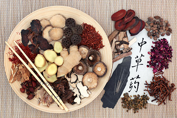 Image showing Chinese Alternative Herbal Medicine