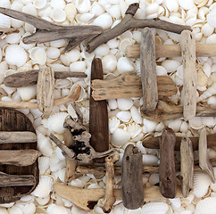 Image showing Abstract Driftwood and Seashell Background