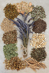 Image showing Herbs to Help Sleeping Disorders