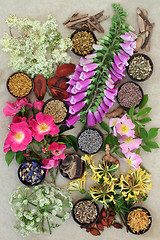 Image showing Herbs and Flowers for Health