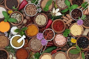 Image showing Herb and Spice Seasoning