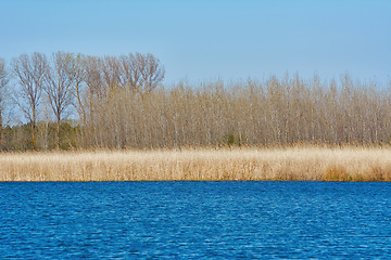 Image showing Lake Shore in Autumn