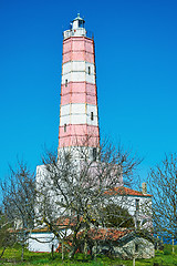 Image showing Lighthouse in Shabla