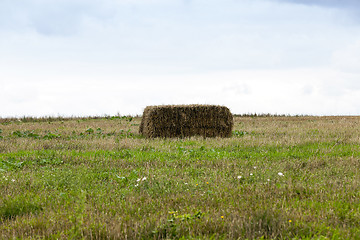 Image showing square haystack closeup