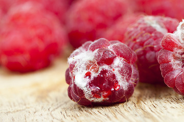 Image showing mold on the raspberries