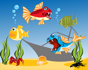Image showing Tropical fish in water