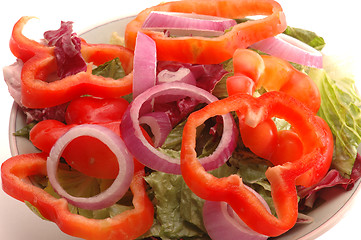 Image showing GARDEN SALAD