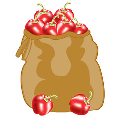 Image showing Red pepper in bag