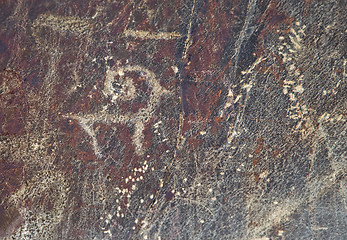 Image showing Petroglyph in Sarmishsay, Uzbekistan