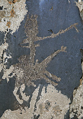 Image showing Petroglyph in Sarmishsay, Uzbekistan