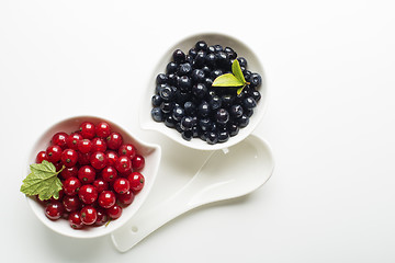 Image showing Berries