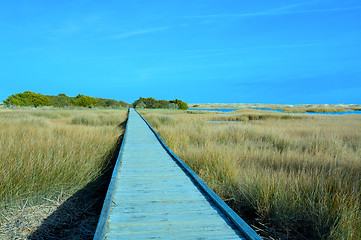 Image showing Quiet path