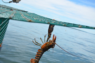 Image showing Hanging on