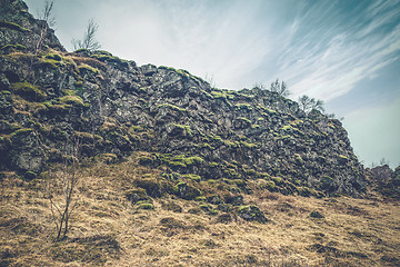 Image showing Black cliffs with green moss