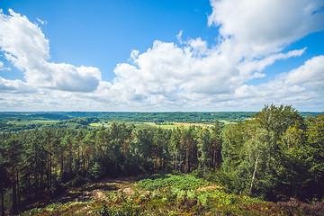 Image showing Landscape view over trees