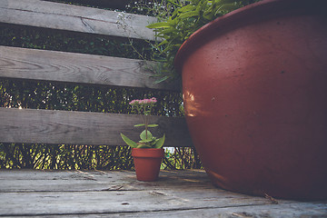 Image showing Flower pots in dark red color 