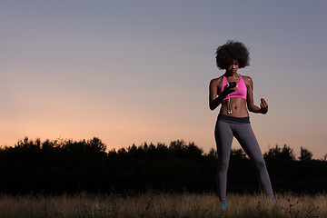 Image showing young african american woman in nature