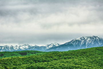 Image showing Snow-covered Carpathian Mountains