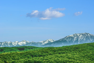 Image showing Snow-covered Carpathian Mountains