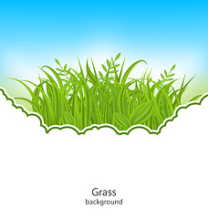 Image showing Summer Natural Postcard with Green Grass 