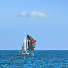 Image showing Yacht Cassiopeia in Regatta 