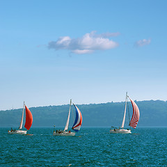 Image showing Pro-Am Race in the Black Sea