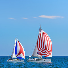 Image showing Pro-Am Race in the Black Sea