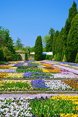 Image showing Botanical Garden at Spring