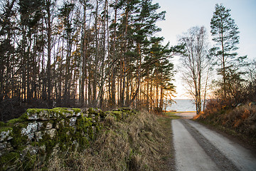 Image showing Country road to the coast