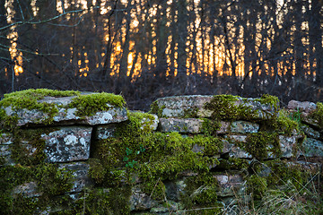 Image showing Detail of an old mossy stone wall