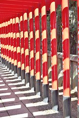 Image showing Row of red torii gates at Inuyama, Japan