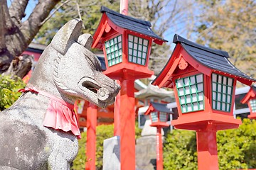 Image showing Stone fox and red lanterns in Inuyama, Japan