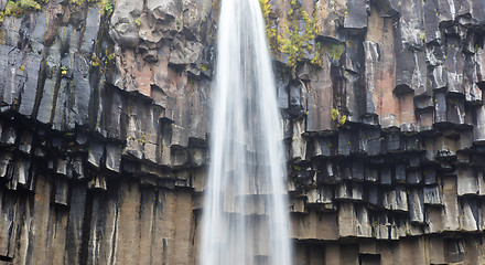 Image showing Svartifoss (Black Fall), Skaftafell, Iceland