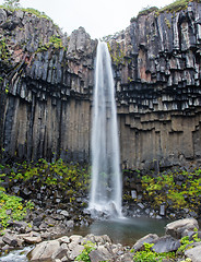 Image showing Svartifoss (Black Fall), Skaftafell, Iceland