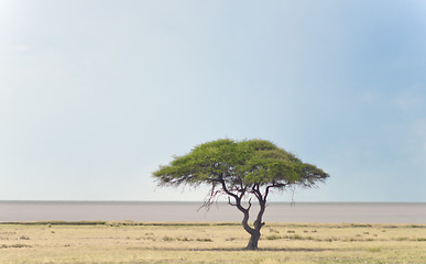 Image showing african landscape