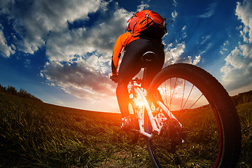 Image showing biker in orange jersey riding on green summer field