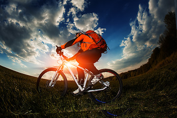 Image showing biker in orange jersey riding on green summer field